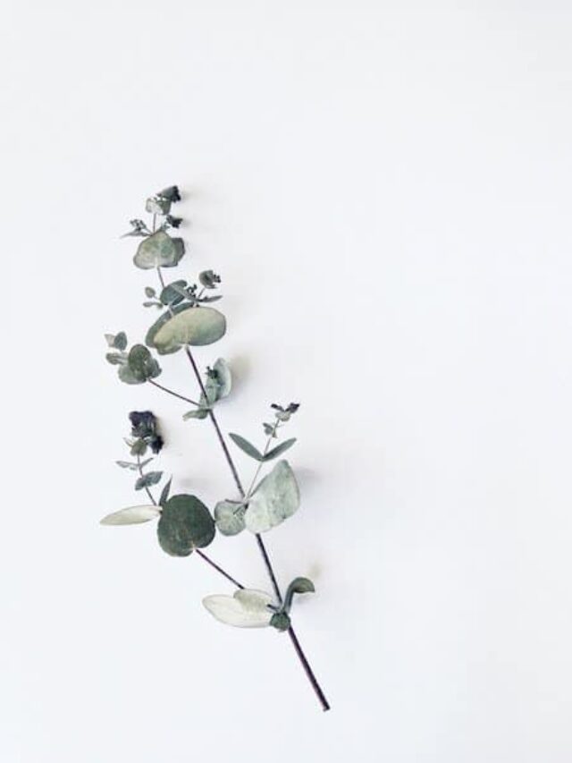 When I first started experimenting with minimalism, about five years ago, I had no idea what my journey would truly look like. Of course I had a few expectations – a gorgeous but functional capsule wardrobe, an uncluttered, easy to clean home, and a much healthier bank balance – but looking back now I realise I really didn’t understand the fundamental ways minimalism would change my life. I'm share all the details in this post - so if you're on the fence or in need of motivation to continue on your minimalist journey - this is a must read!