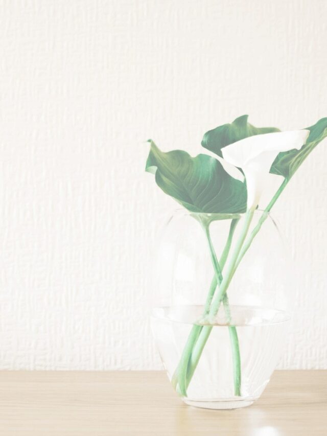 cropped-How-Minimalism-Helped-Me-Become-Debt-Free-Feature.jpg