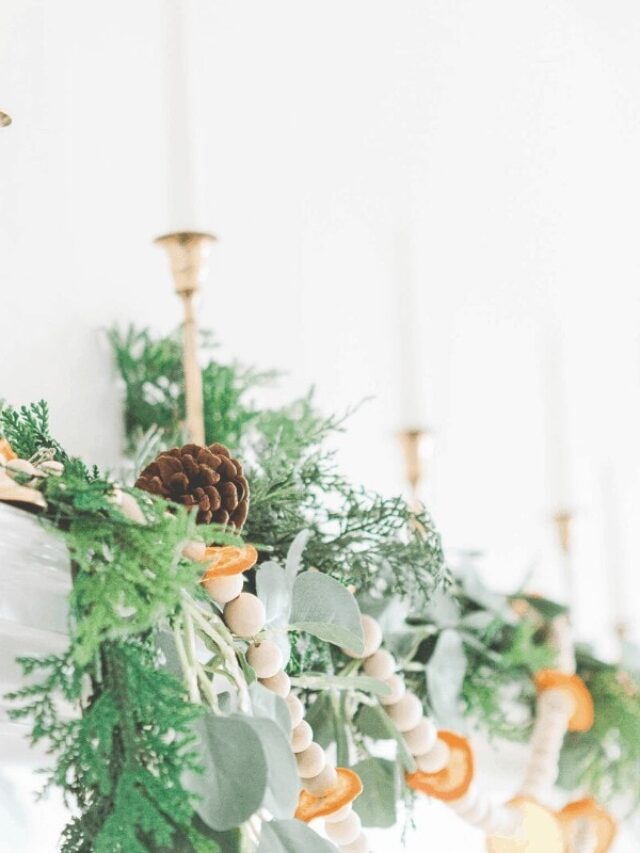 cropped-How-to-Celebrate-a-Minimalist-Christmas-Feature-Image.jpg