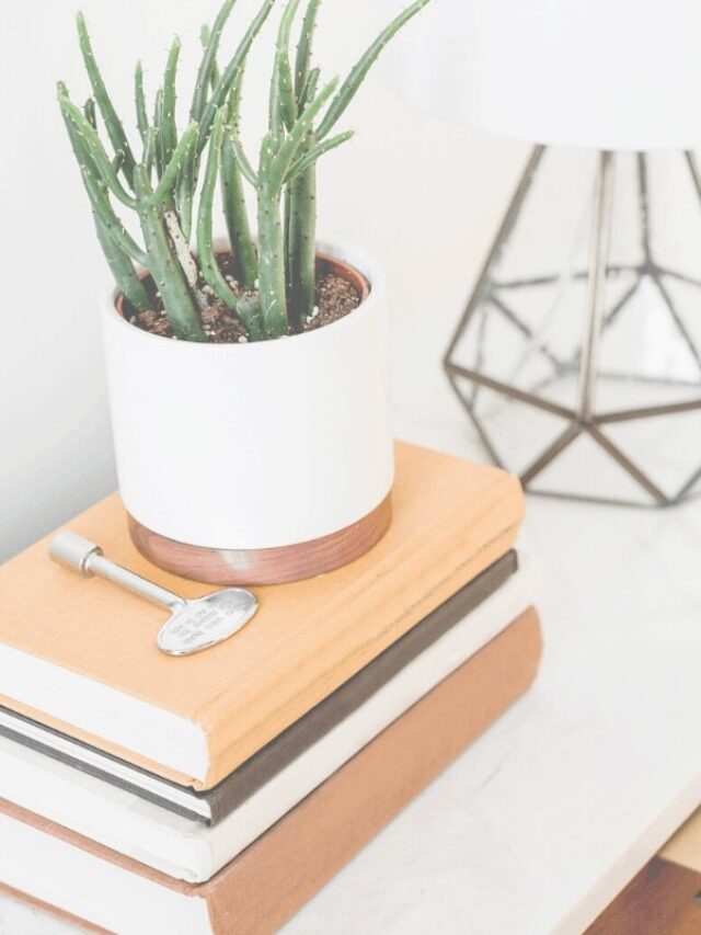 cropped-The-Most-Surprising-Way-Decluttering-Improves-Your-Life-Feature-Image.jpg