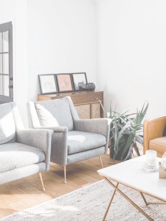 A living room with grey chairs,a plant, pictures, and a table.