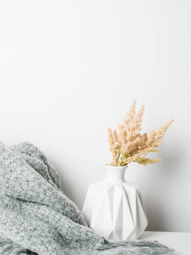 A grey blanket beside a white vase with stalks of dried flowers against a white background.