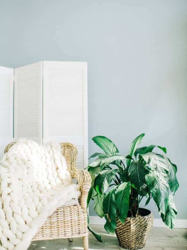 cropped-Minimalism-A-Before-After-Story-10.jpg