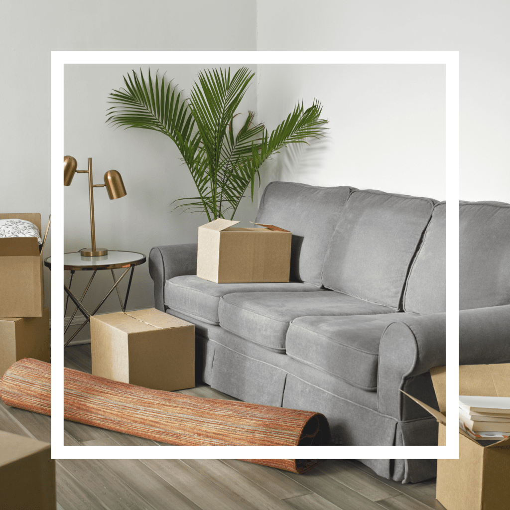 A grey sofa, rolled up rug, plant, table with a gold lamp on top, and moving boxes on a hardwood floor with a white frame overlay.