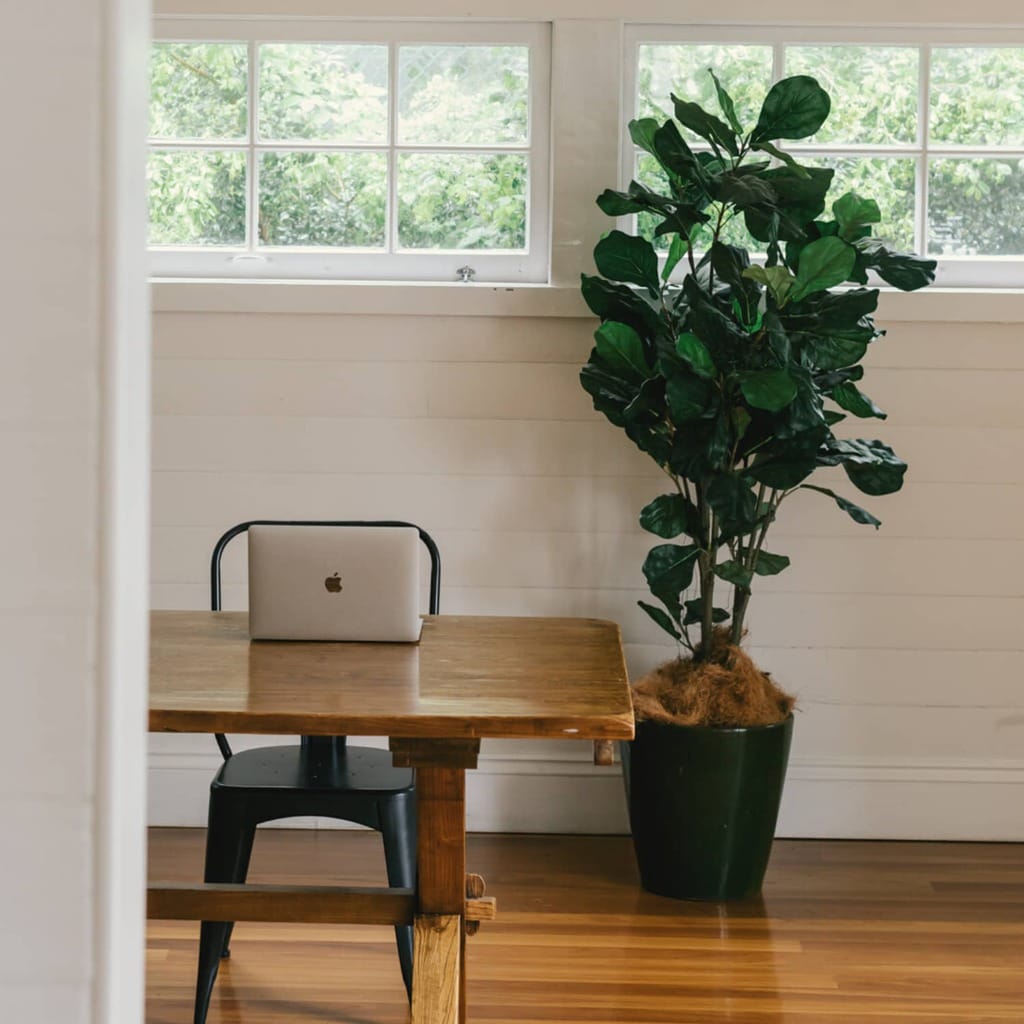 An image of a room with white brick and hardwood floors. There's a tall plant, a wooden table, and a black chair in the room. There's Macbook on the wooden table.